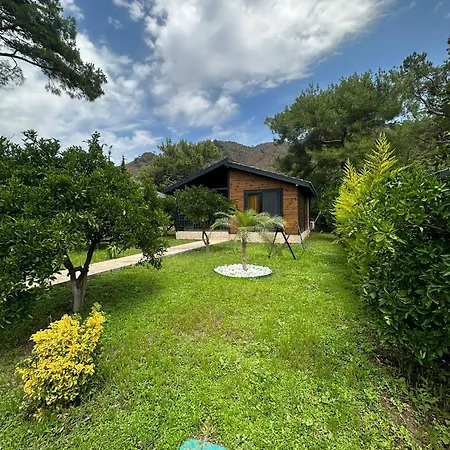 Cirali Villa'S Kemer Exterior photo