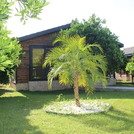 Cirali Villa'S Kemer Exterior photo