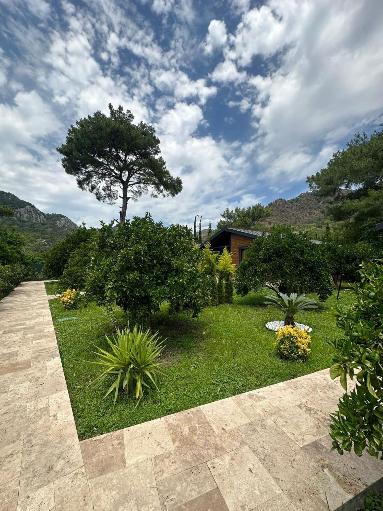 Villa Cirali Villa's